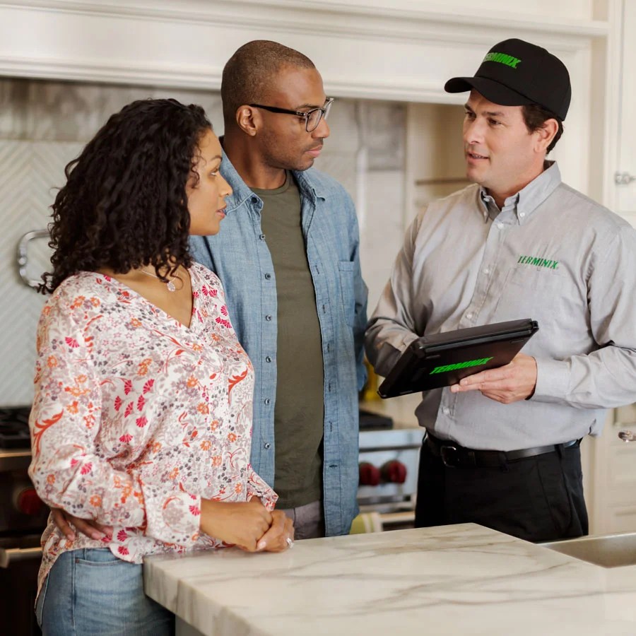 Best Pest Control Toronto Terminix Pest Exterminator Services