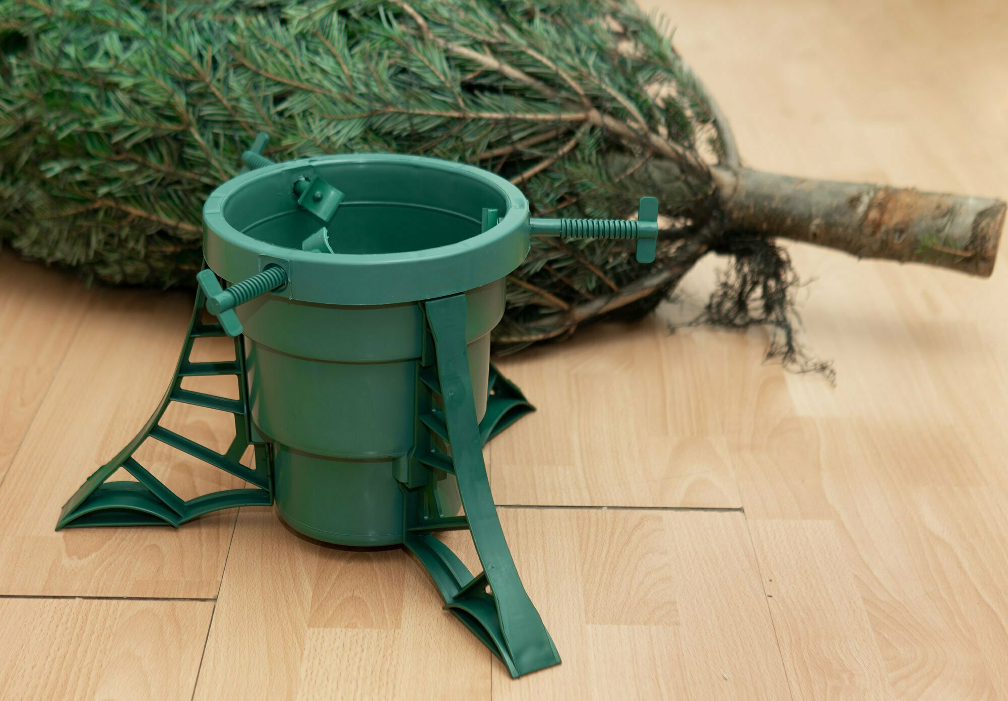 PestFree Christmas Tree Disposal Terminix Canada Pest Control