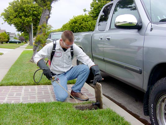 Pest Control Services for Orange County, NY Pestech.