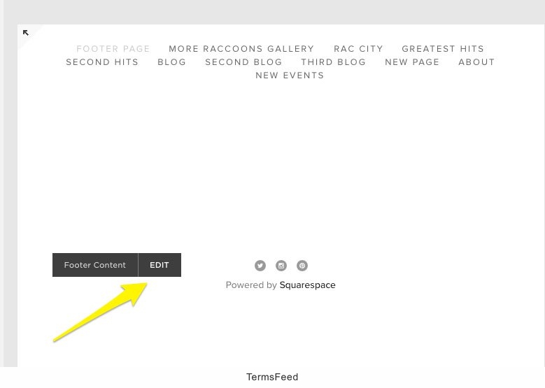 Privacy Policy for Squarespace TermsFeed