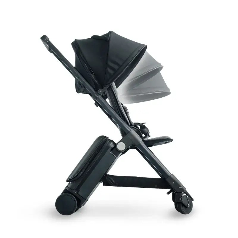 Travel Easy with Your Luggage Stroller on a Plane TernX
