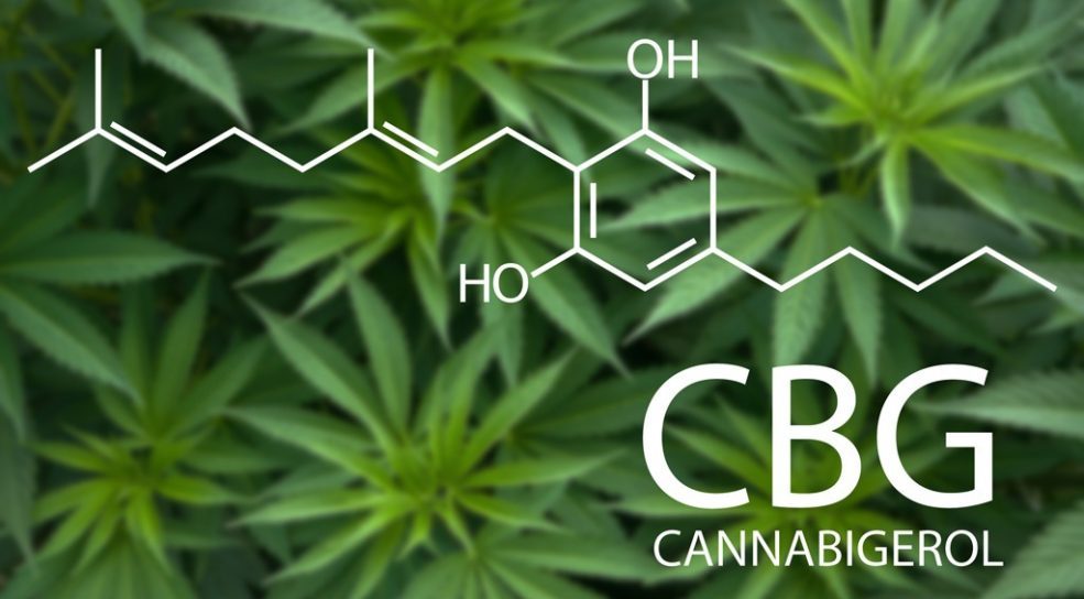 Precision Plant Molecules Launches Cannabigerol (CBG