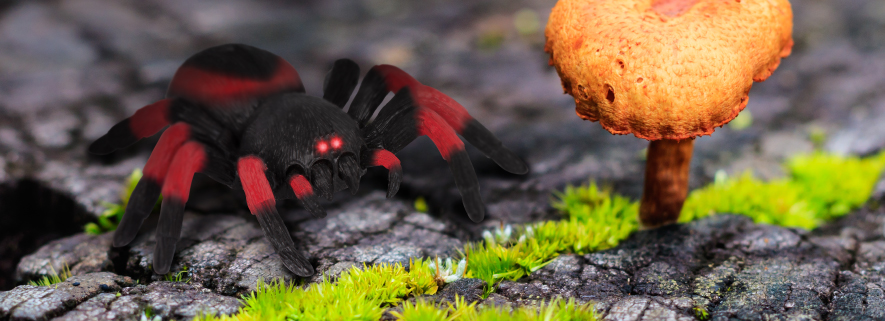 Remote Control Toys | Terra by Battat