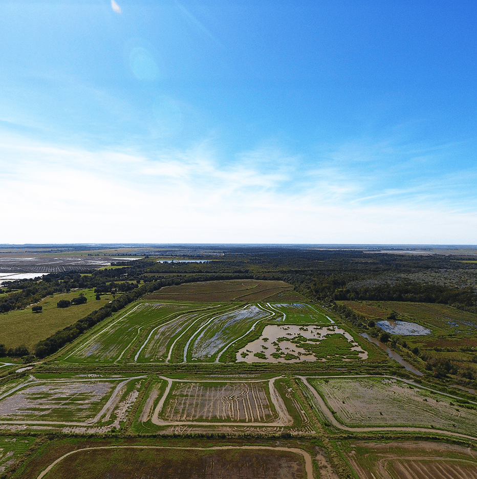 About Terra Development LLC