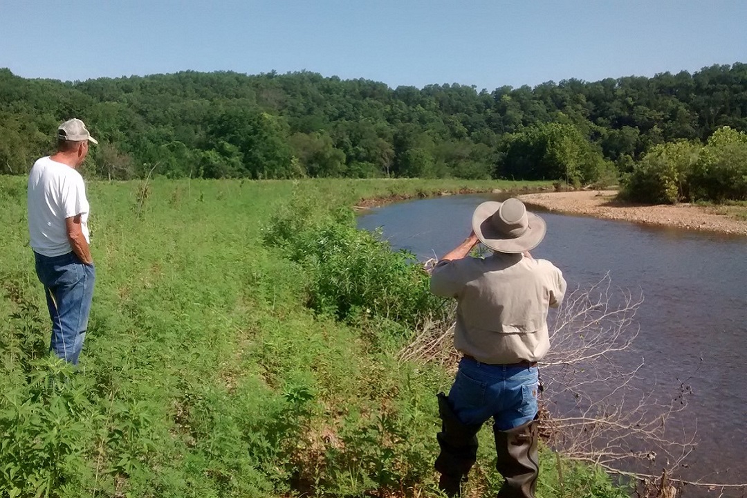 Ozark Land Trust Receives 100,000 Grant for Huzzah Creek Restoration