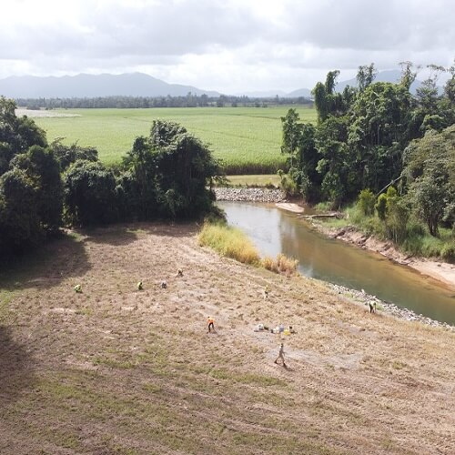 Green Jobs Revegetate Riverbanks in Cassowary Coast Project