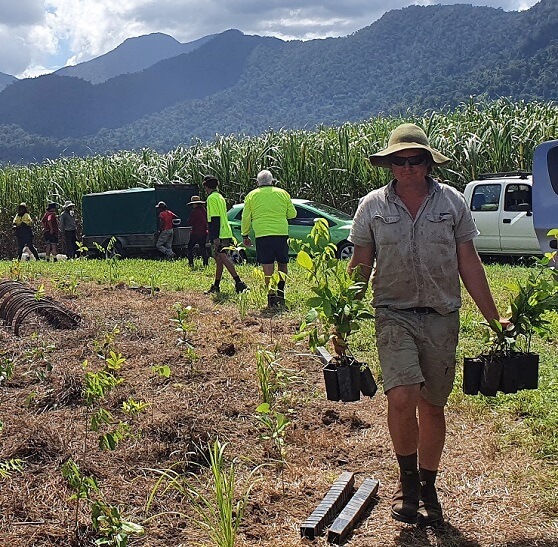 Green Jobs Revegetate Riverbanks in Cassowary Coast Project