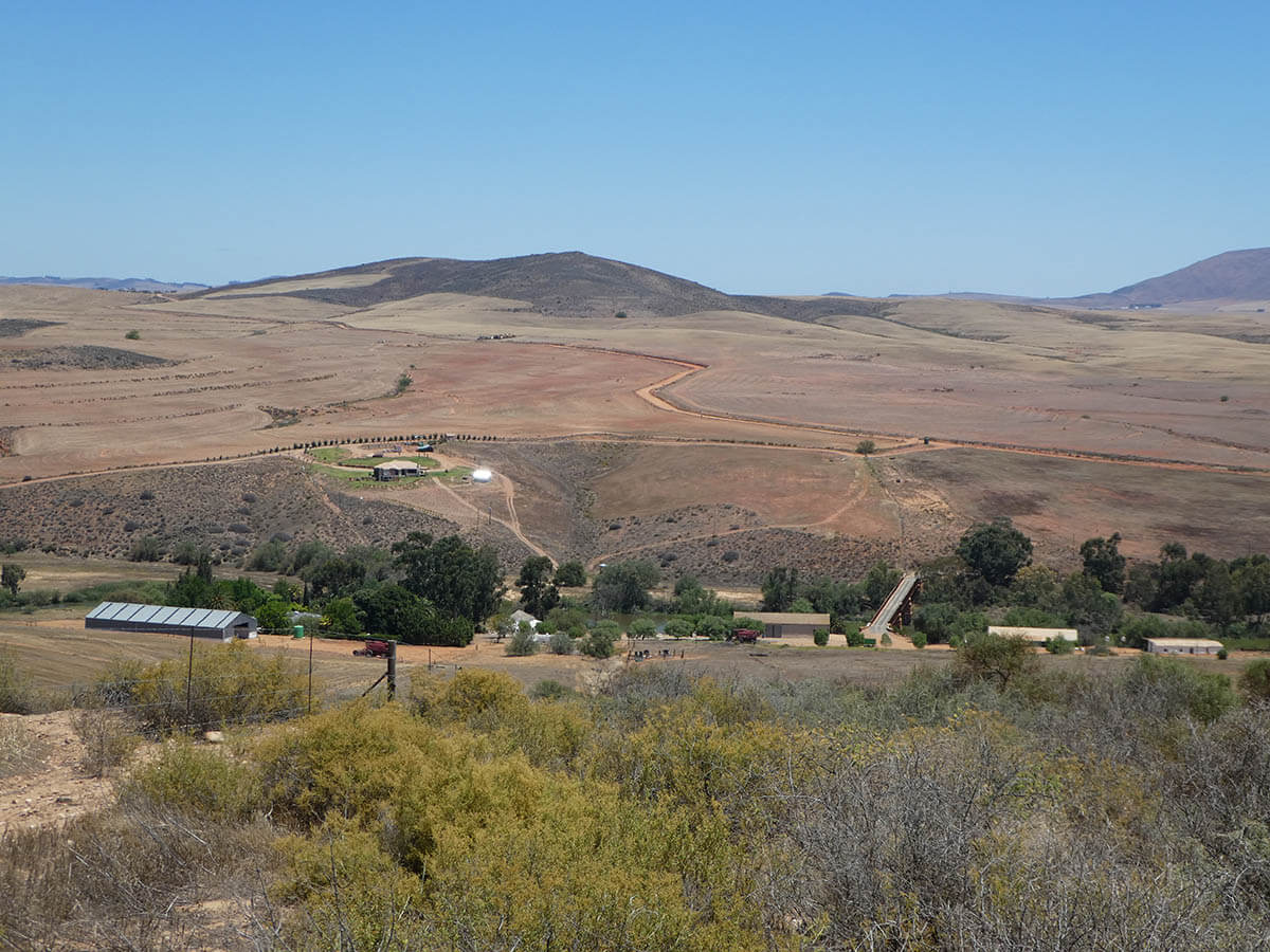 The Biocultural Fabric of Renosterveld A Unique Ecosystem at the Heart