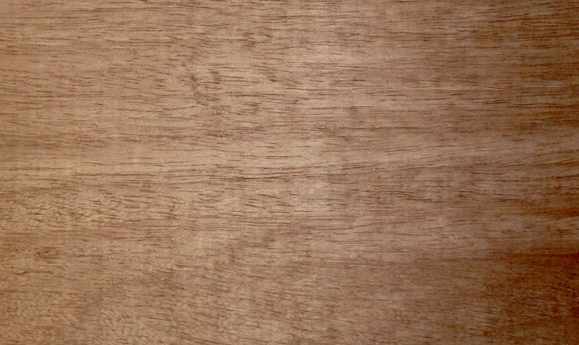 Jequitiba • Terra Maderas y productos derivados de la madera en