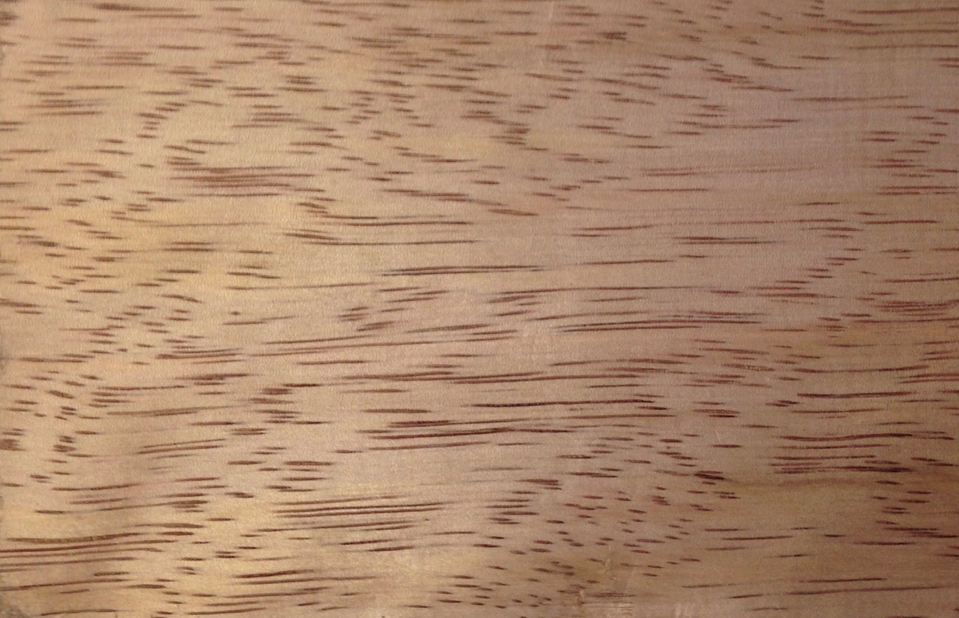 Cedro Mara • Terra Maderas y productos derivados de la madera en