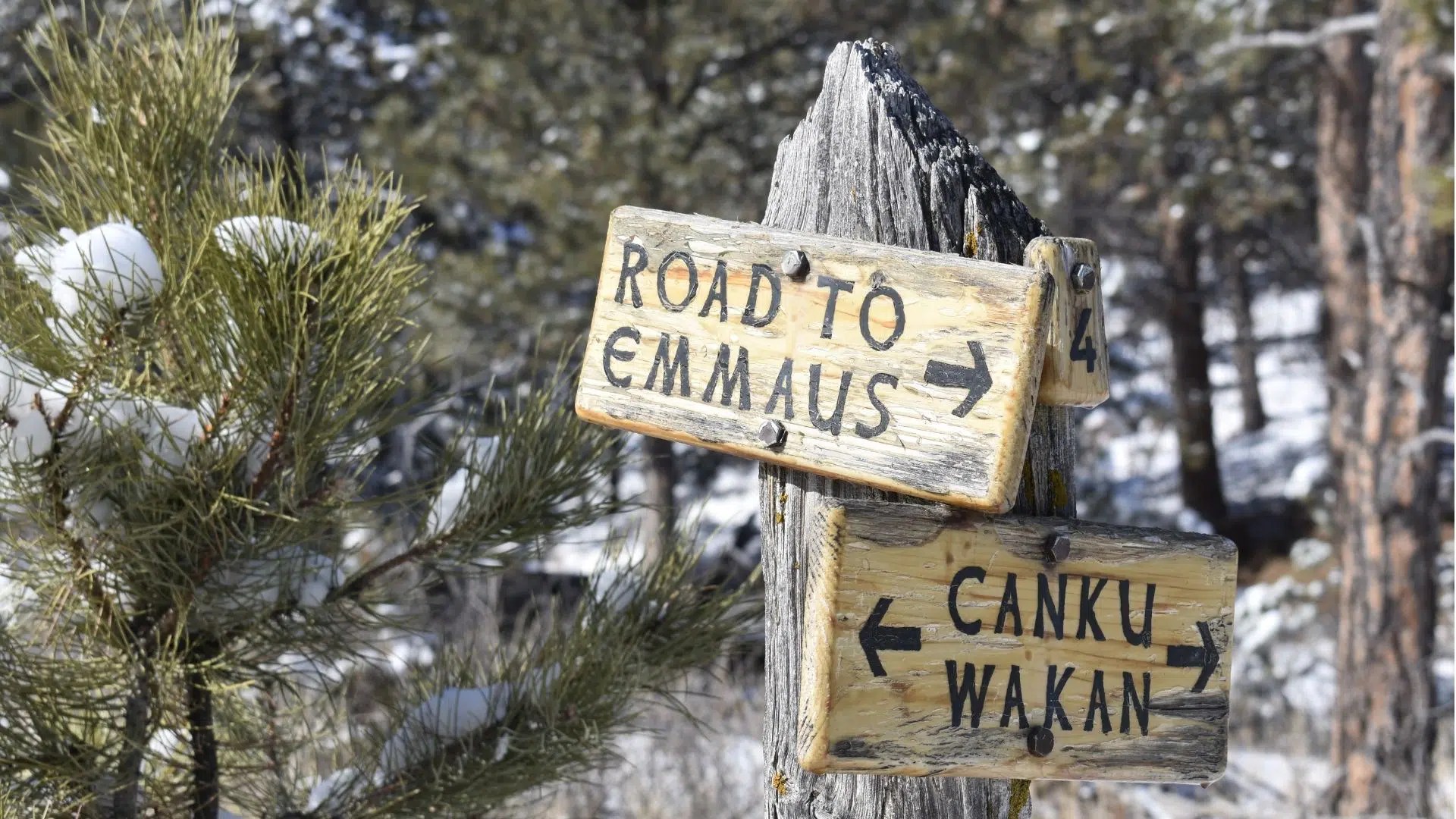 Hiking Trails Terra Sancta Retreat Center