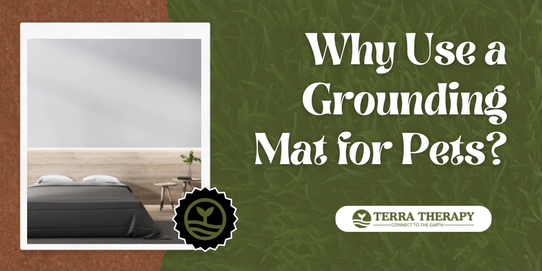 Why Use a Grounding Mat for Pets? Terra Therapy