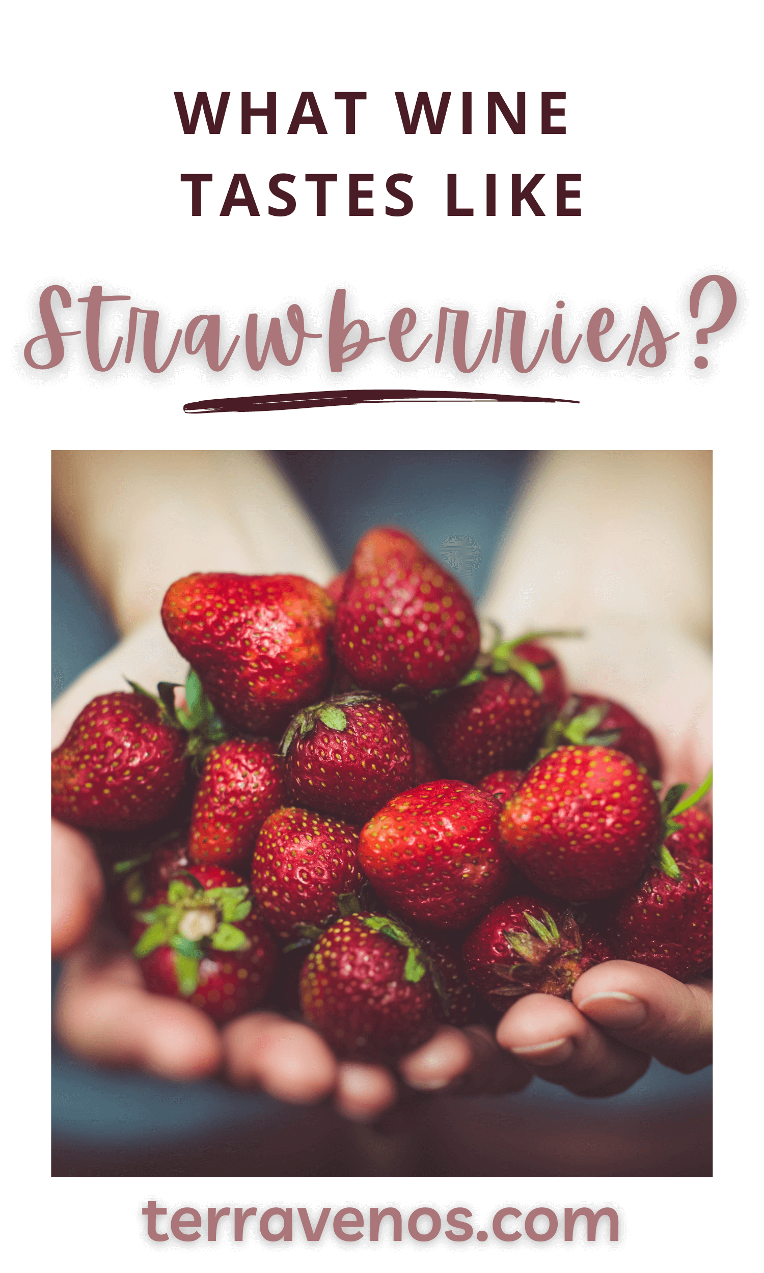 What Wine Tastes Like Strawberries?