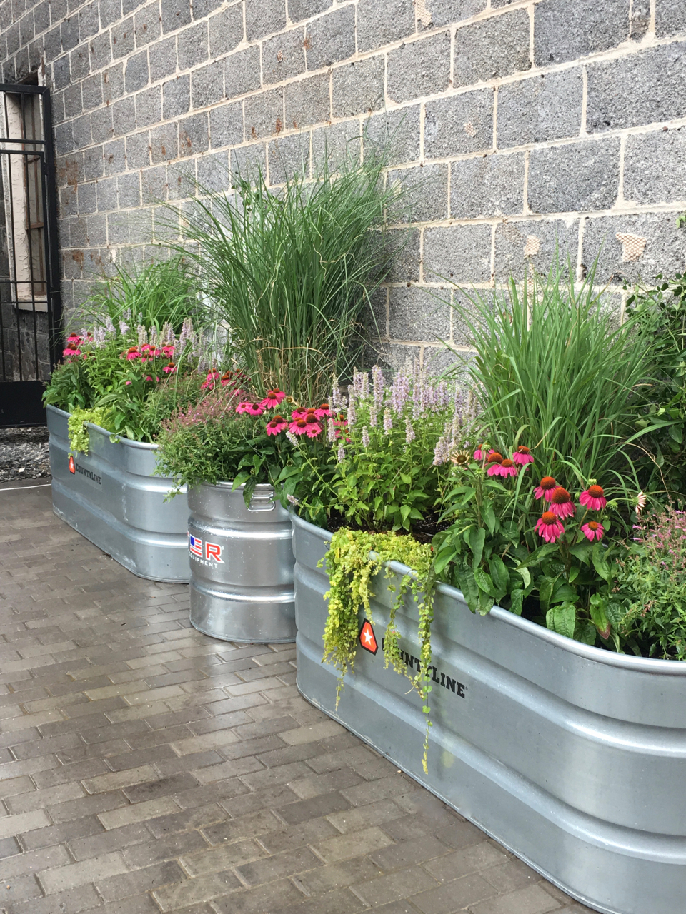 Terra Verde Garden Design