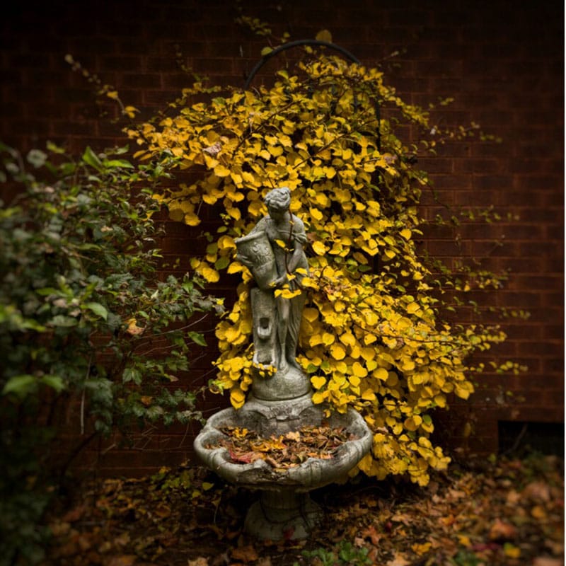 Frazier Fountain Terrell Thornhill Art