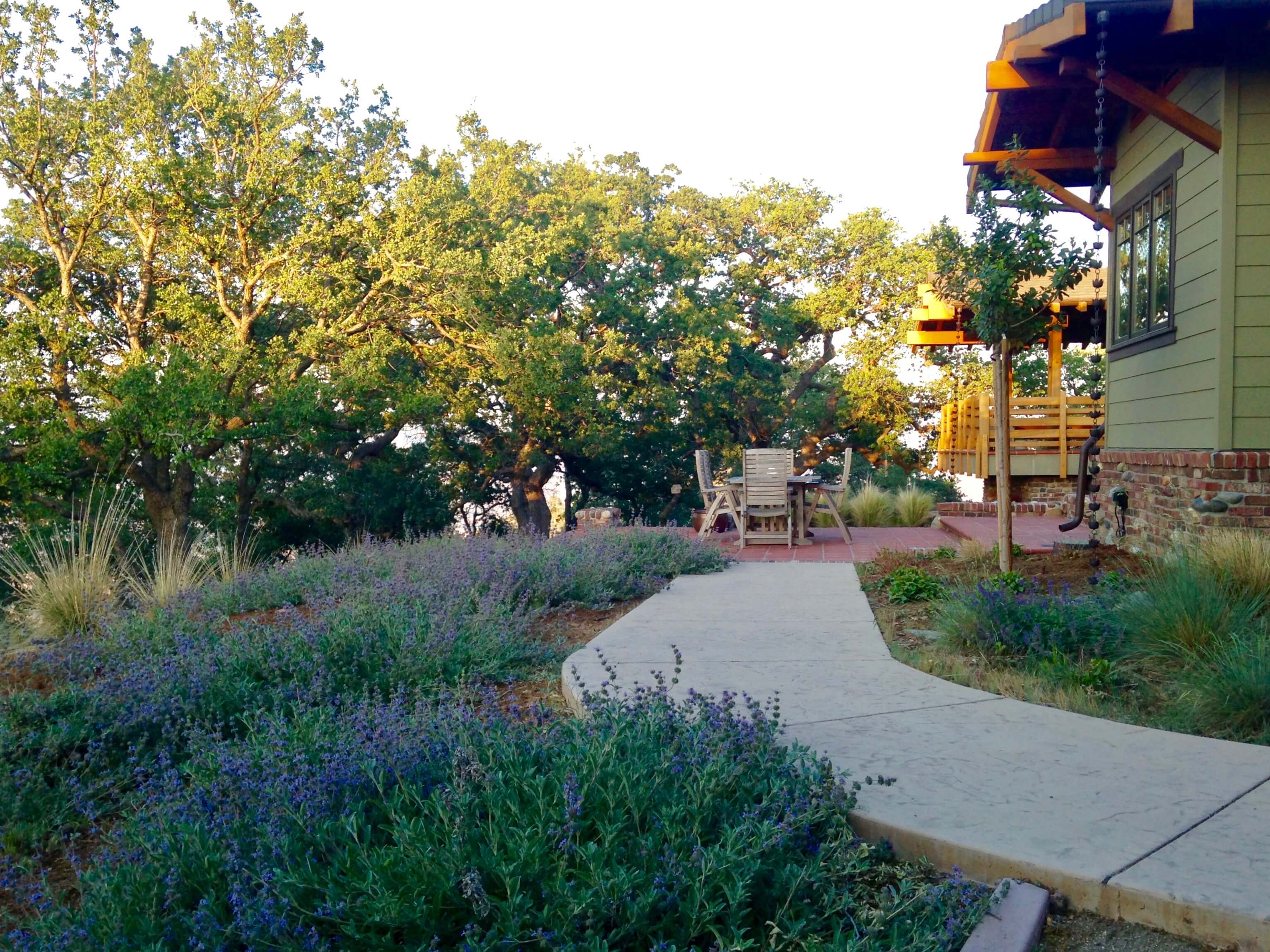 Hart Flat Native, Low Water Landscaping that Captures the View Terre