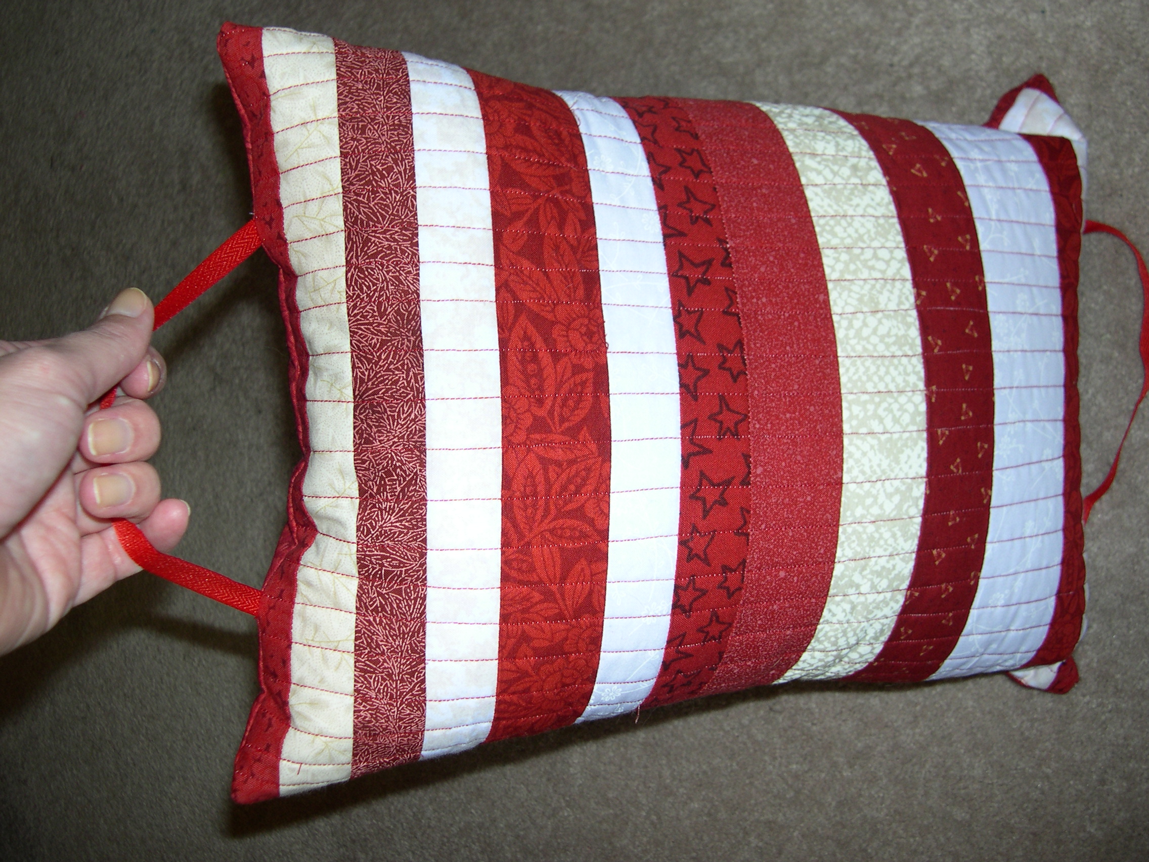 Picnic Pillows Terri's Notebook
