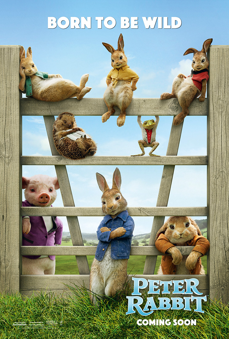 Peter Rabbit Territory Studio