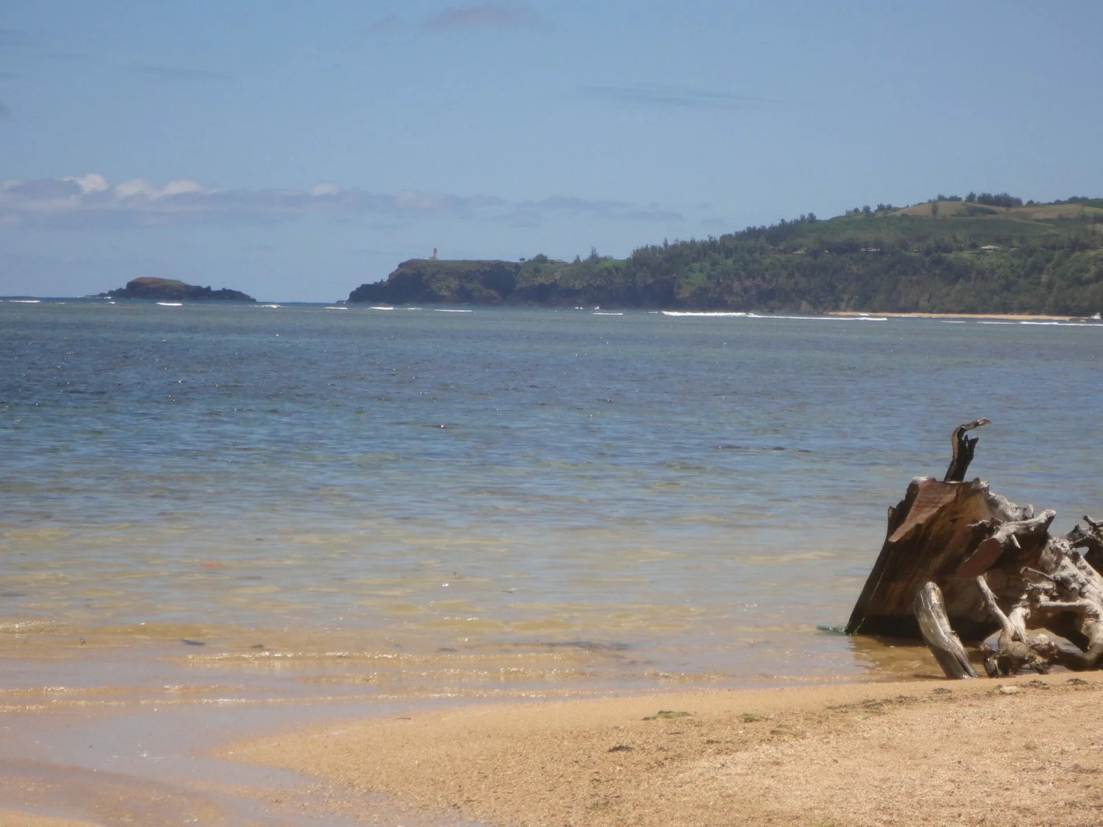 Haoles in Hawaii McKenna style Terry Ambrose