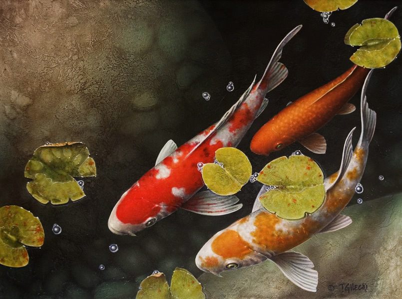 Original Koi Fish Paintings Archives • Koi Fish Paintings by Terry Gilecki