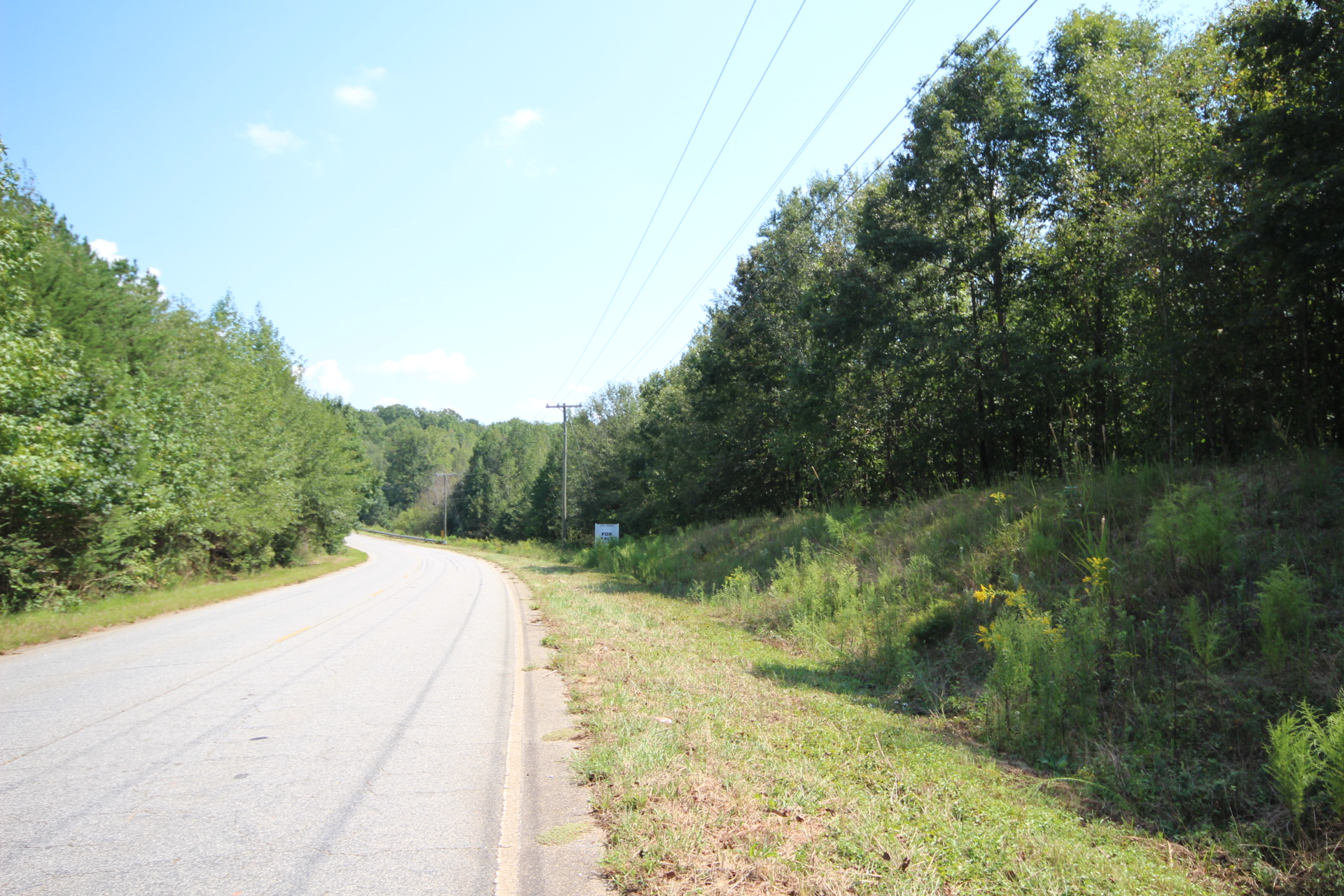 3 Properties on Old Jones Rd & Freeman Farm Rd in Greer, SC Terry