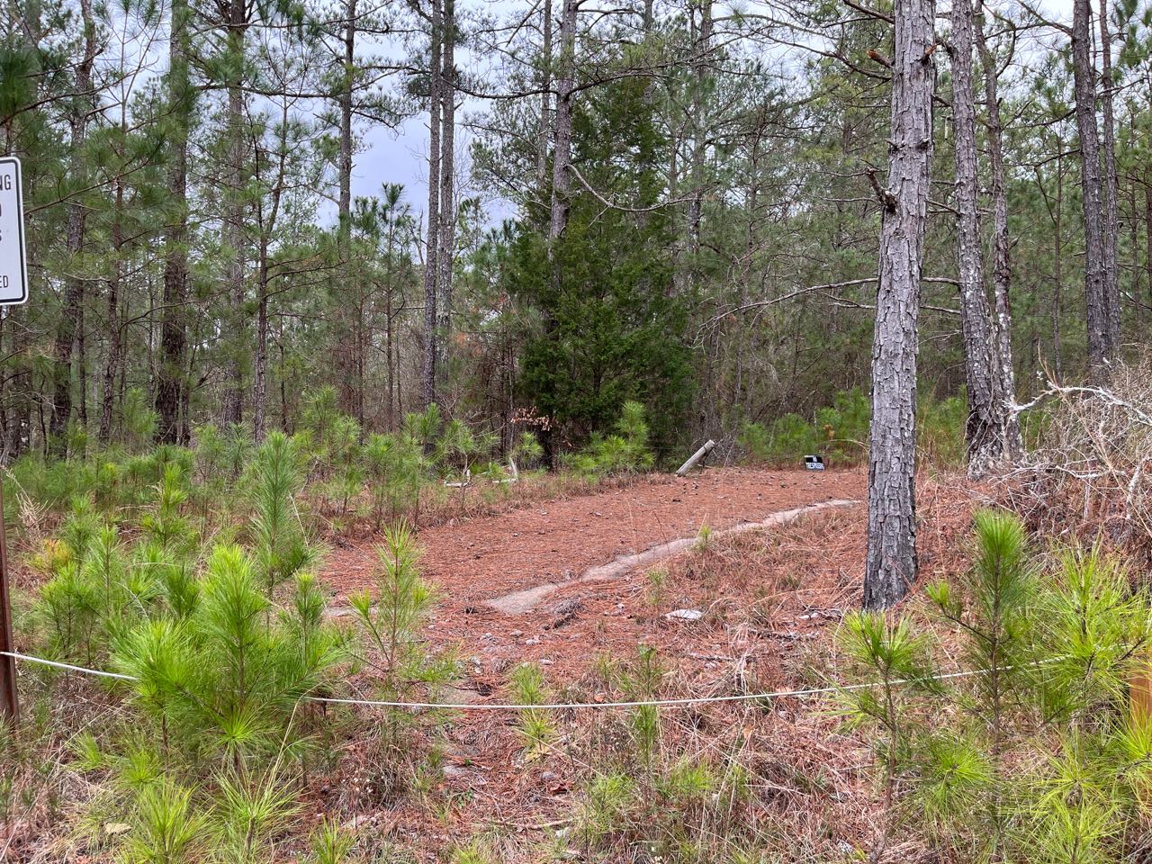 85± acres in Thomaston, GA Terry Howe & Associates