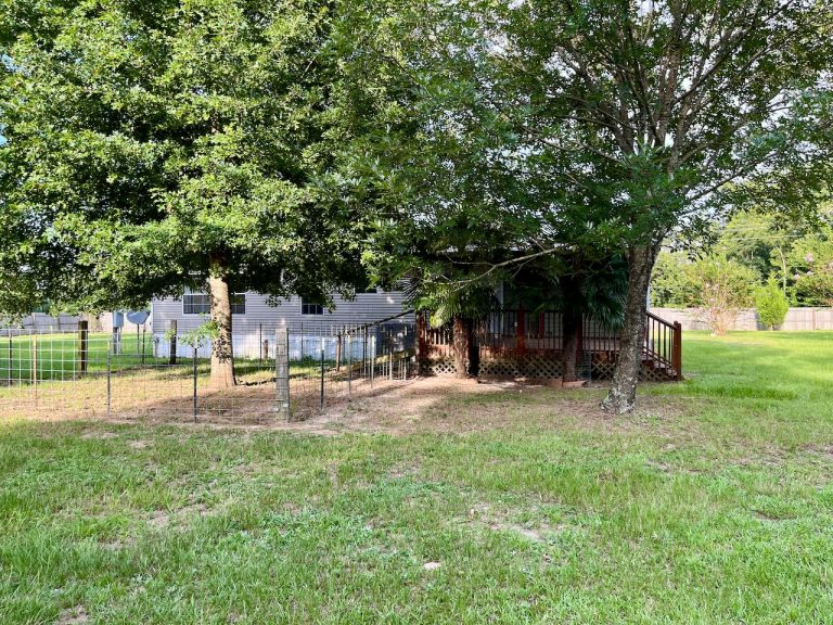 Climax, GA Home on 1.5± acres Terry Howe & Associates