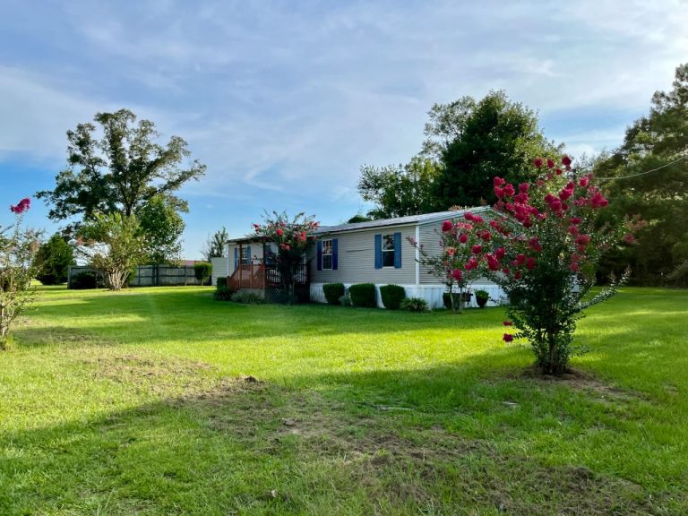 Climax, GA Home on 1.5± acres Terry Howe & Associates