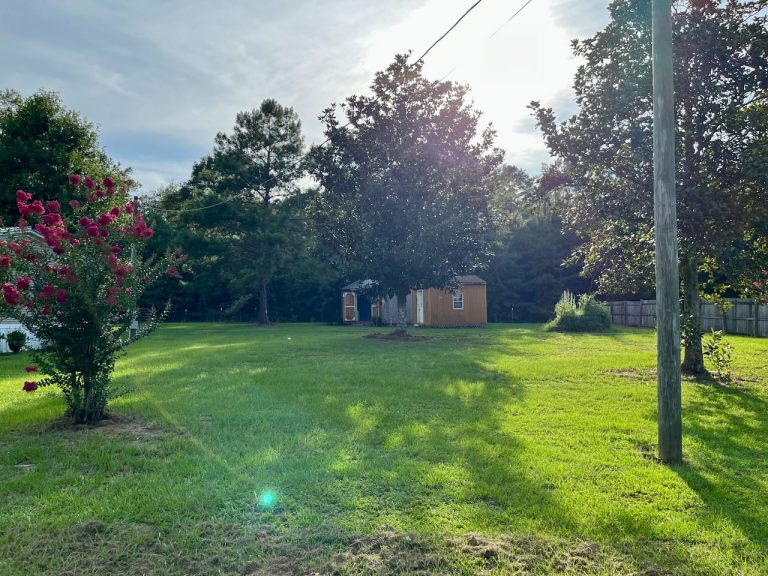 Climax, GA Home on 1.5± acres Terry Howe & Associates