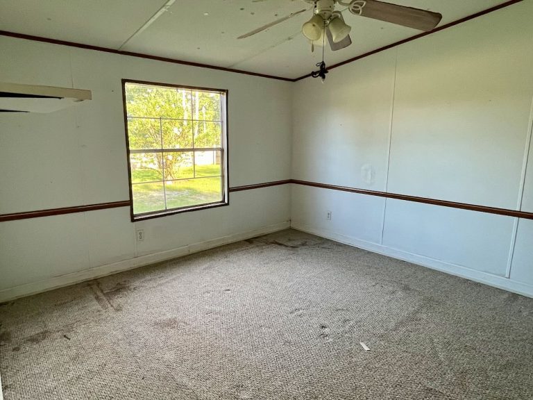 Climax, GA Home on 1.5± acres Terry Howe & Associates