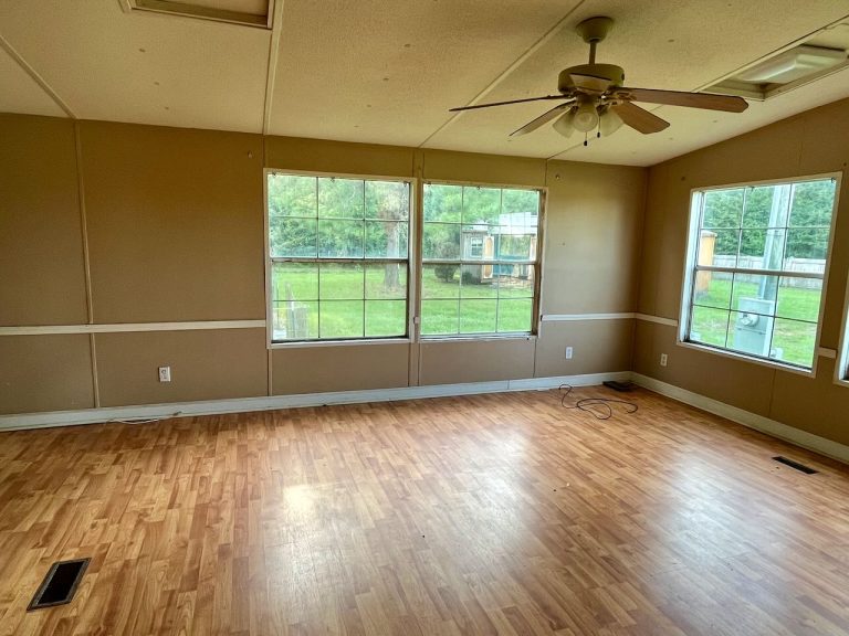 Climax, GA Home on 1.5± acres Terry Howe & Associates