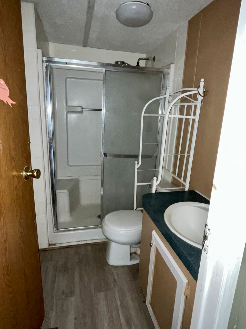 Climax, GA Home on 1.5± acres Terry Howe & Associates