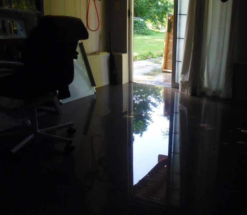 Washer hose leak, how often do you change hoses? Terry Love Plumbing