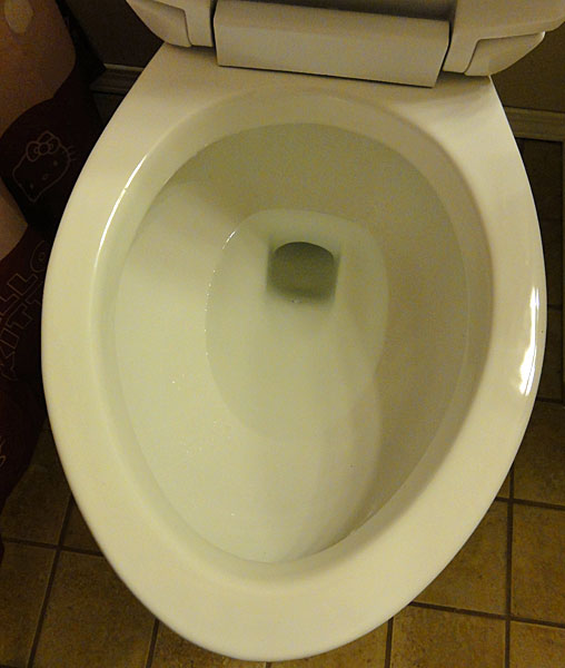 Niagara N7717 Stealth Toilet Review With Pictures And, 44% OFF
