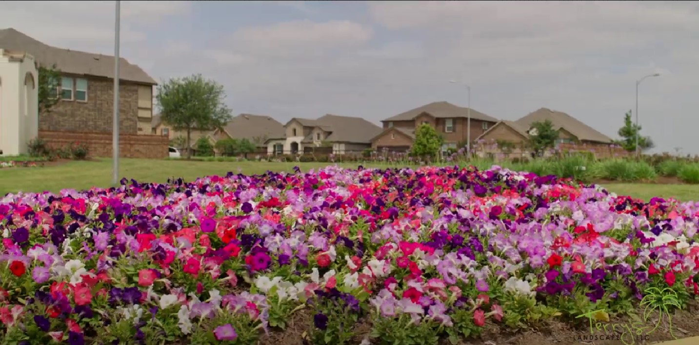 Maximizing Landscape Budgets for HOAs & Commercial Properties Terry's