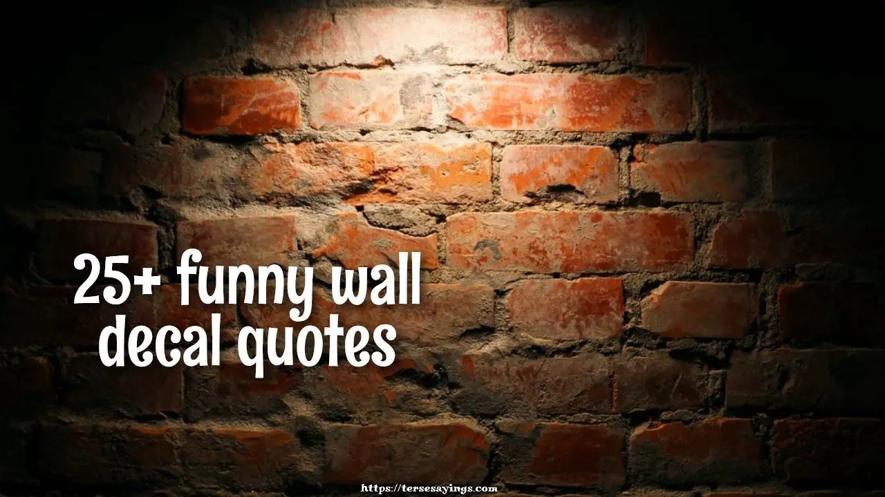 funny wall decal quotes