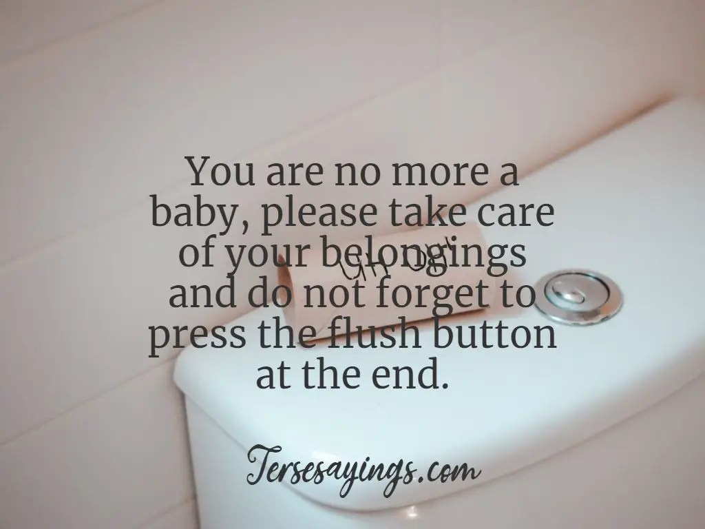 50+ funny toilet quotes