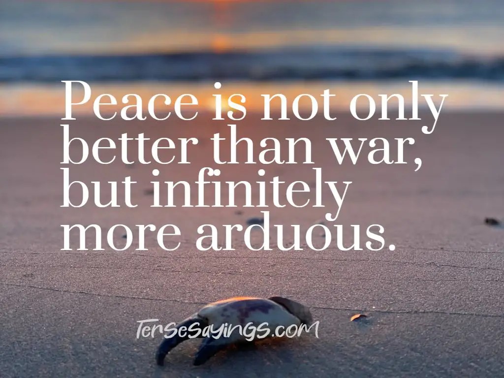 70+ Funny Peace Quotes