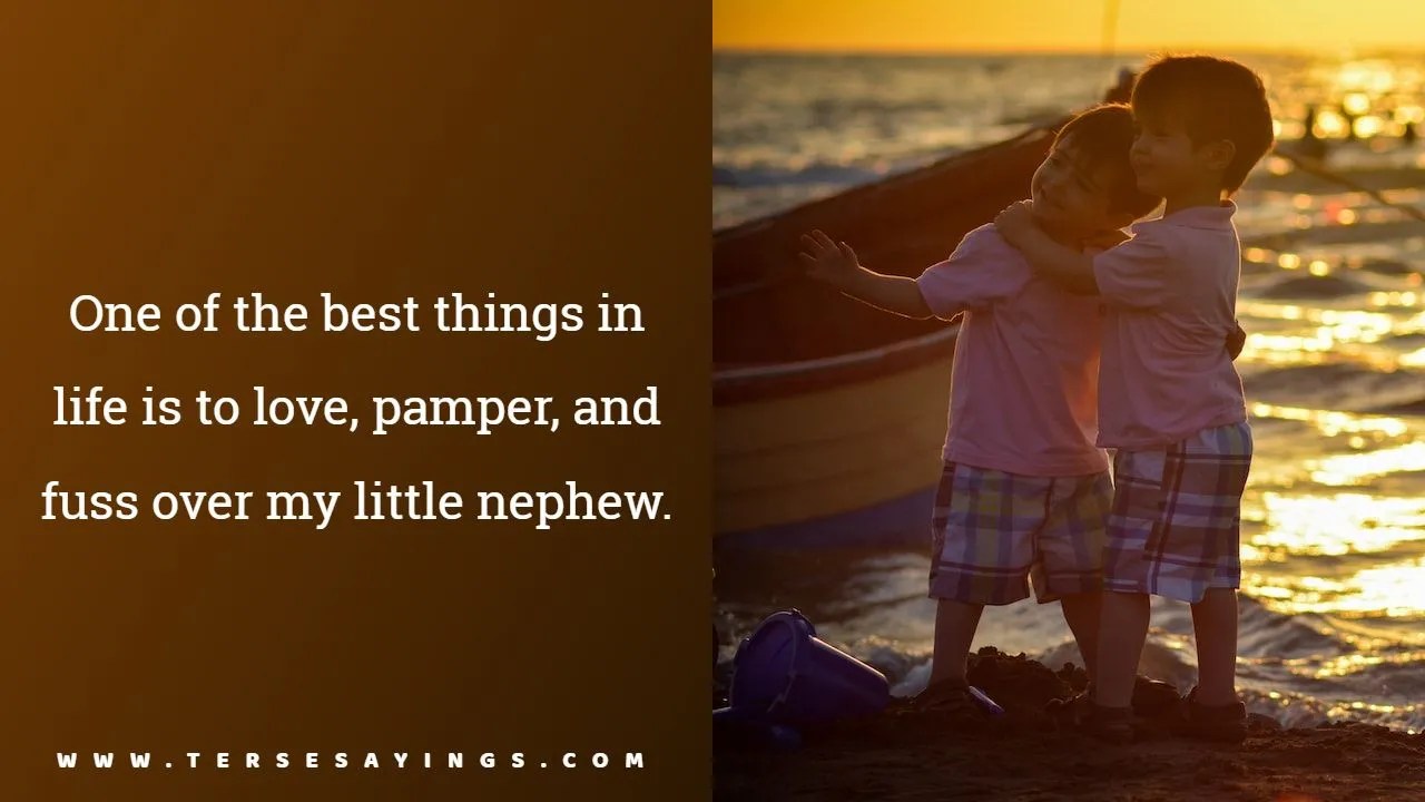 Nephew Quotes