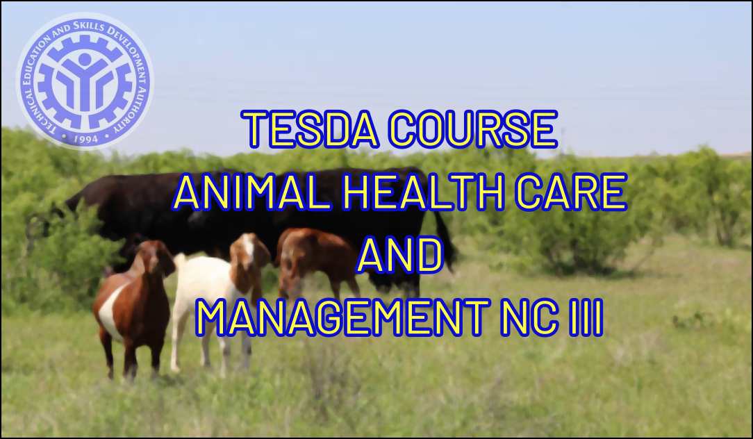 TESDA Animal Health Care and Management NC III Course TESDA Online