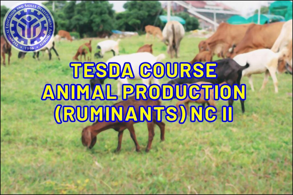 TESDA Animal Production (Ruminants) NC II Course TESDA Online Program