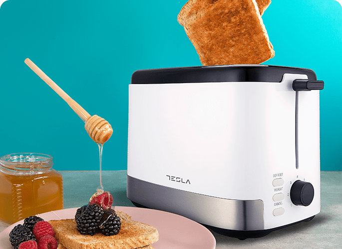 Tesla.info | Toasters - TS300BWX