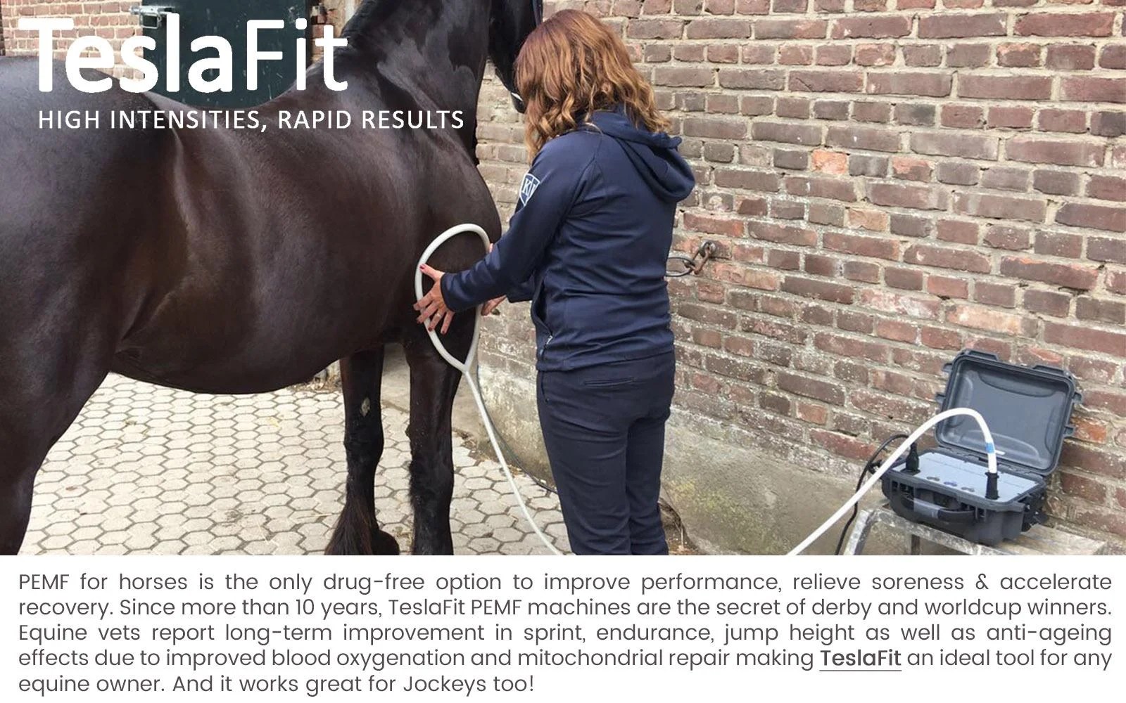 PEMF therapy for Equines TeslaFit PEMF