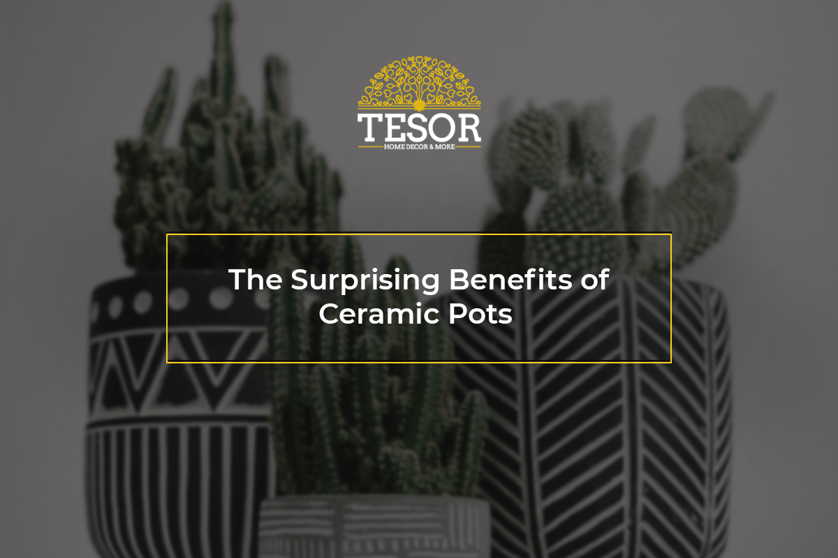 The Surprising Benefits of Ceramic Pots Tesor