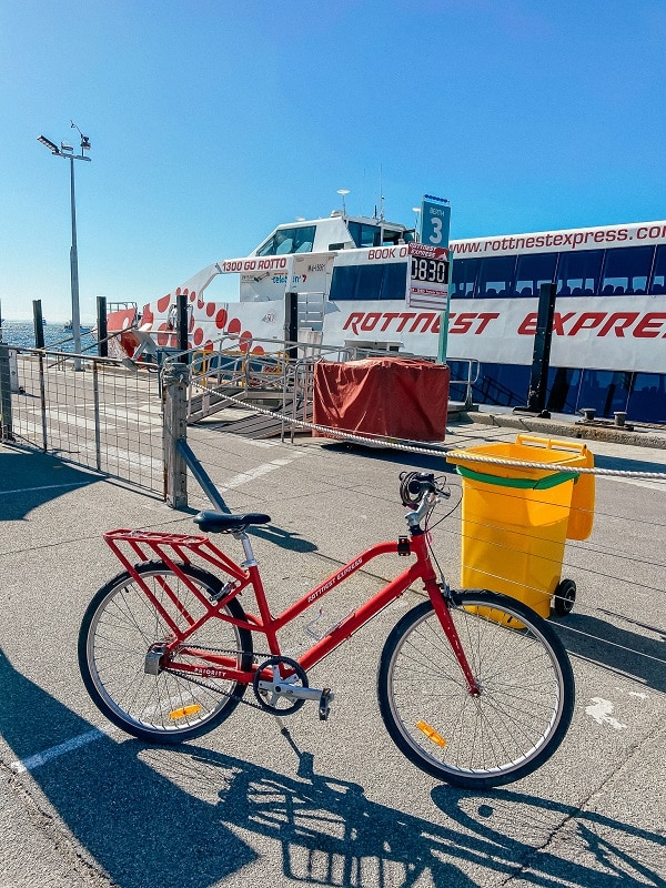 25 Top Things To Do on Rottnest Island