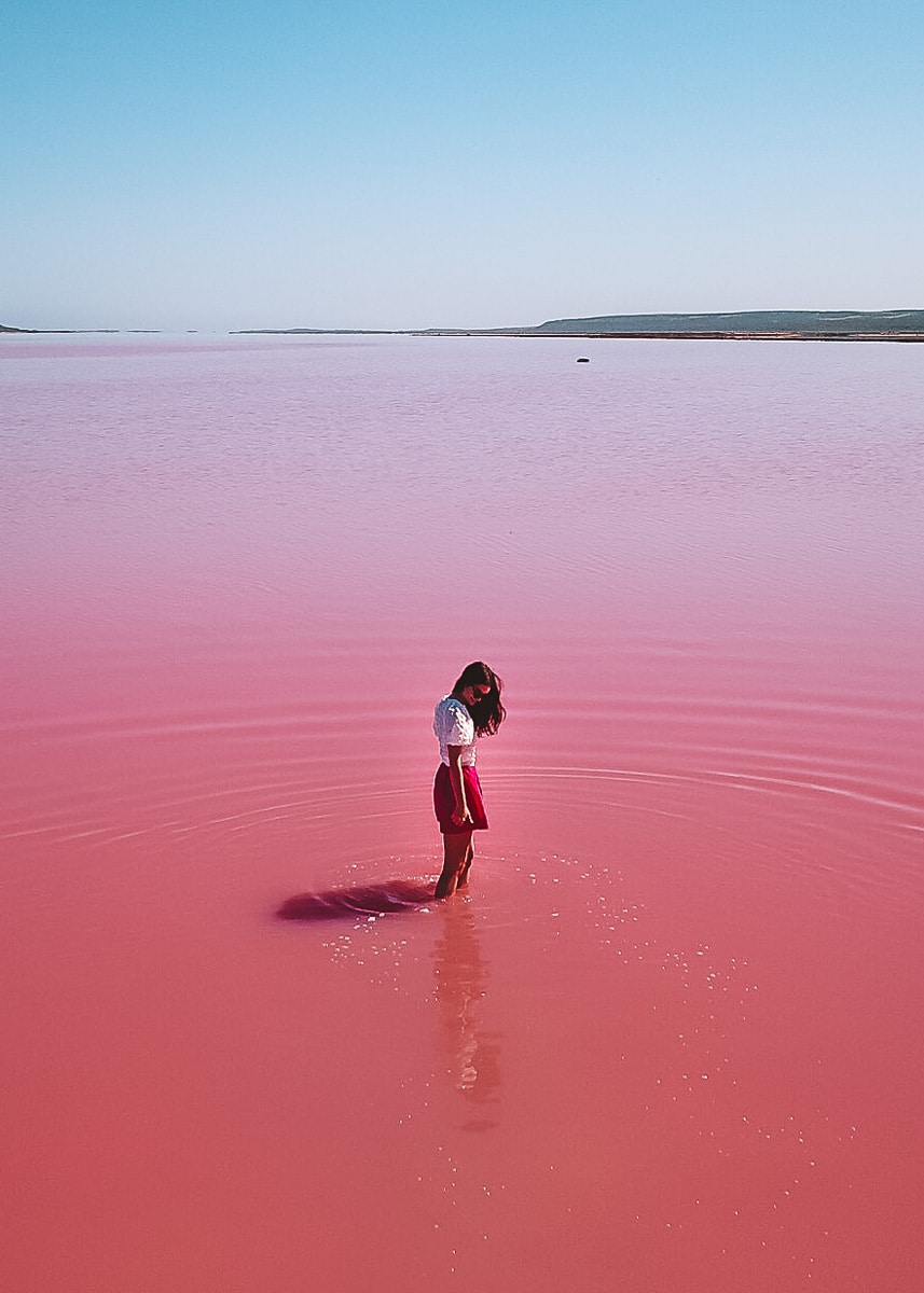 Pink Lake WA Guide to Visiting Hutt Lagoon (2024)