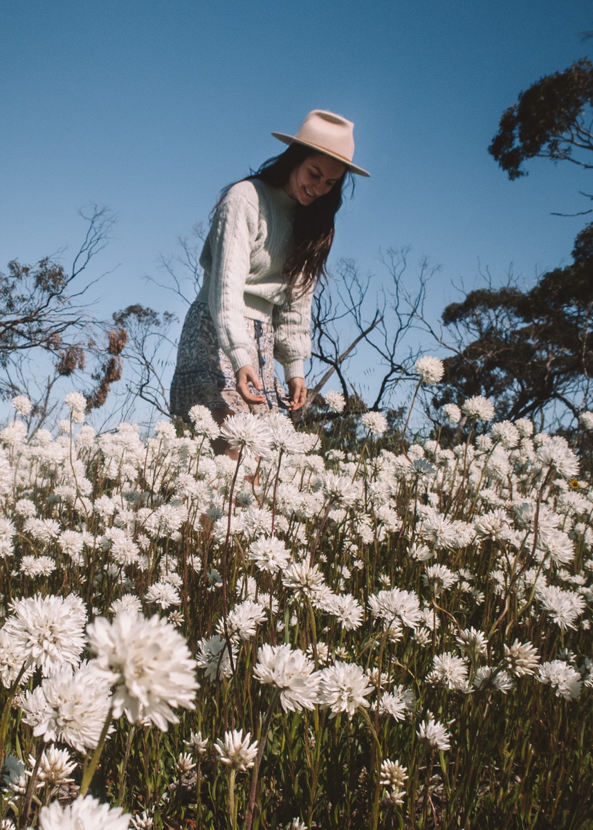 Exploring WA's Wildflower Country A Road Trip to Coalseam
