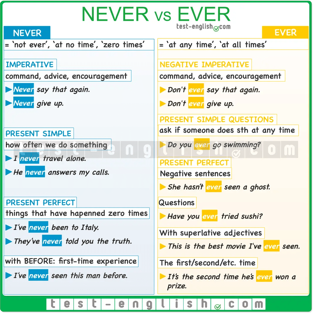 Never Verb: Ý Nghĩa, Cách Dùng và Ví Dụ Minh Họa
