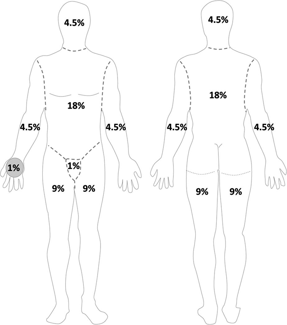 Burn Critical Care Anesthesia Key