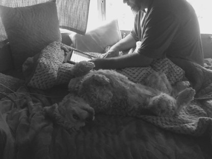 Updating the blog